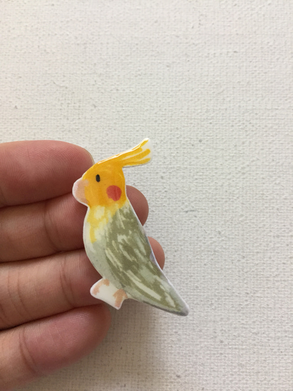 玄鳳鸚鵡 鳥胸針 手工製作插畫飾品 別針徽章 第4張的照片