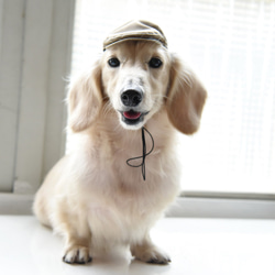 【ZAZAZOO】寵物報童帽 第2張的照片
