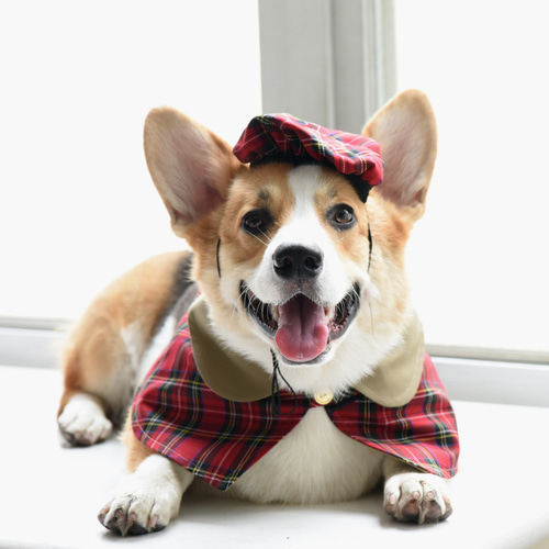 ZAZAZOO】犬猫兼用ペットフレンチベレー帽/ペインターハット ペット服