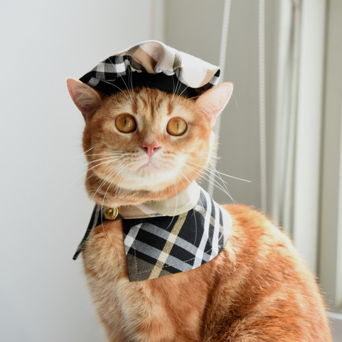 猫デザイン ベレー帽 ネイビー N+Ecology(ネコロジー) 【NE-0022061 猫刺繍キャップ Ⅱ
