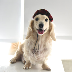【ZAZAZOO】寵物法式貝雷帽  /畫家帽-貓狗皆宜 第6張的照片