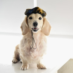 【ZAZAZOO】寵物法式貝雷帽  /畫家帽-貓狗皆宜 第8張的照片