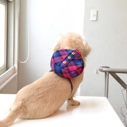 【ZAZAZOO】 寵物牛津格紋小圓包（典雅紫）--胸背用配件 第6張的照片