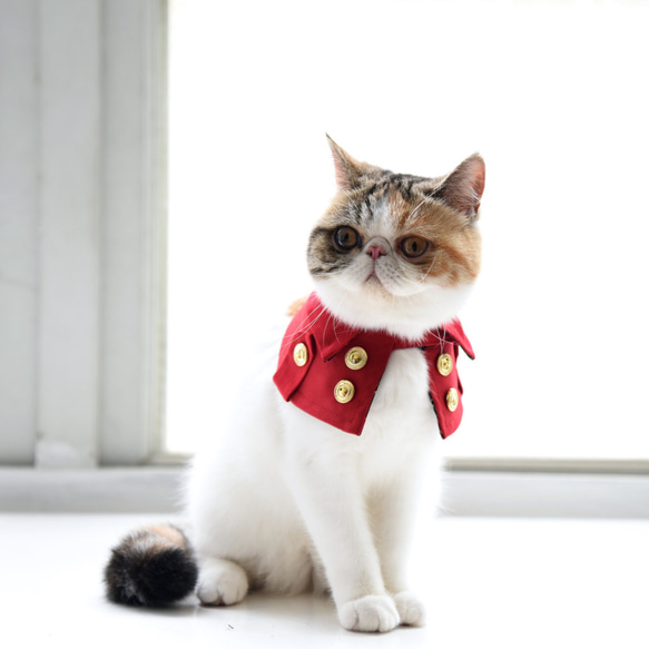 劍橋公爵雙排扣寵物風衣--貓 第6張的照片