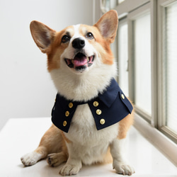 劍橋公爵雙排扣寵物風衣--狗 第2張的照片