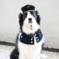 劍橋公爵雙排扣寵物風衣--狗 第4張的照片