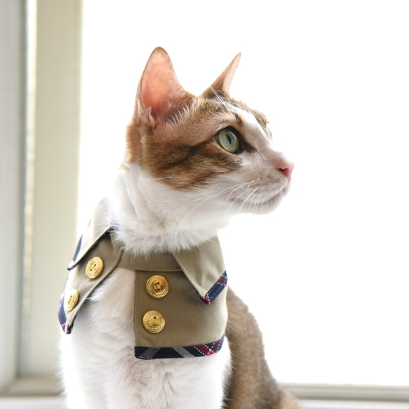 【ZAZAZOO】寵物溫莎公爵雙面風衣 - 海軍藍 第1張的照片