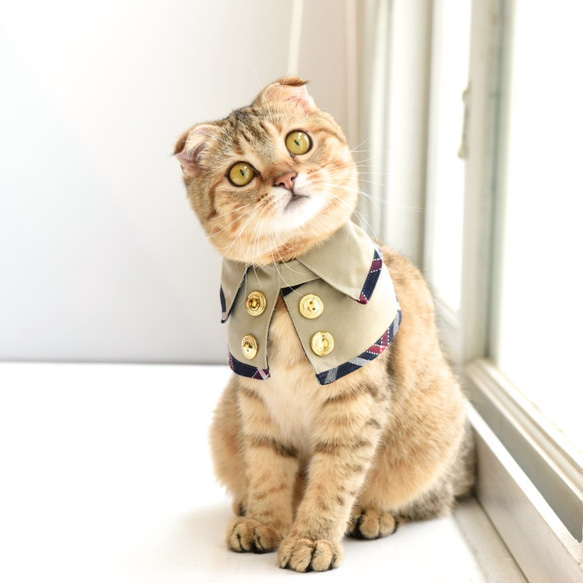 【ZAZAZOO】寵物溫莎公爵雙面風衣 - 海軍藍 第2張的照片