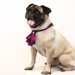 【ZAZAZOO】犬用首輪+クリスマス蝶ネクタイセット--エレガントパープル 1枚目の画像