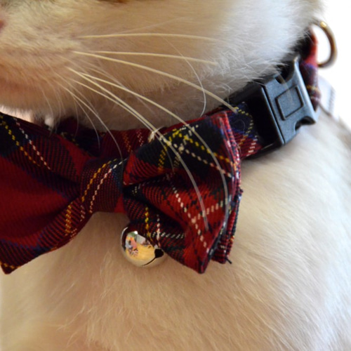 【つる927】ミニサイズ！ペリドットの蝶ネクタイねこちゃん形オルゴ☆他３点 つる927様専用】ミニサイズ！ペリドットの蝶ネクタイねこちゃん