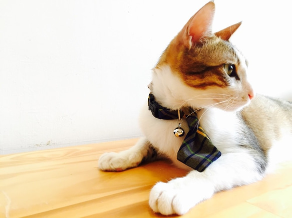 【ZAZAZOO】 貓咪項圈+領帶套組 第3張的照片