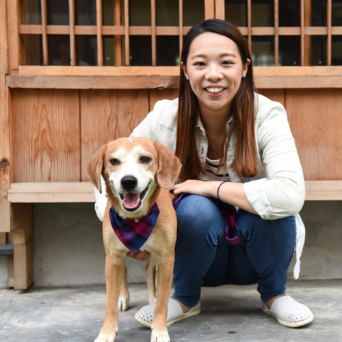 zazazoo 3点セット ZAZAZOO | Mコードドッグカラーセット - エレガントバイオレット