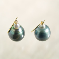 大粒13mmUP 黒蝶真珠 バロック K18YGフックピアス|パール/春/卒業式/入学式/結婚式 2枚目の画像