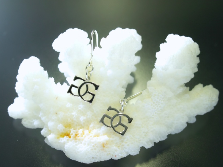 プレミアム ピュアシルバー(Ag999) inGodロゴ フックピアス