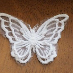 材料蕾絲蝴蝶蝴蝶圖案 2 件白色 第2張的照片