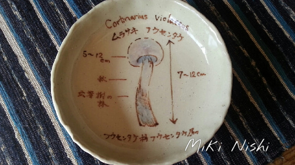 きのこ図鑑皿 ムラサキフウセンタケ 1枚目の画像