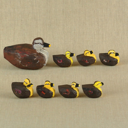 カルガモの親子専用ページ カルガモ親子 | GANREF