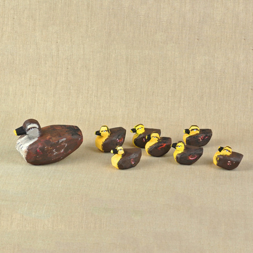 カルガモの親子専用ページ カルガモ親子2024～飛べるまでの成長記録～32日目【4K60p記録