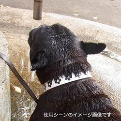 ドッグカラーM　フラワーBK1　ウォータープルーフ犬用首輪です 5枚目の画像