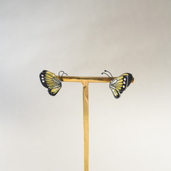 縁起物　黄色い蝶々　ピアス／イヤリング 3枚目の画像