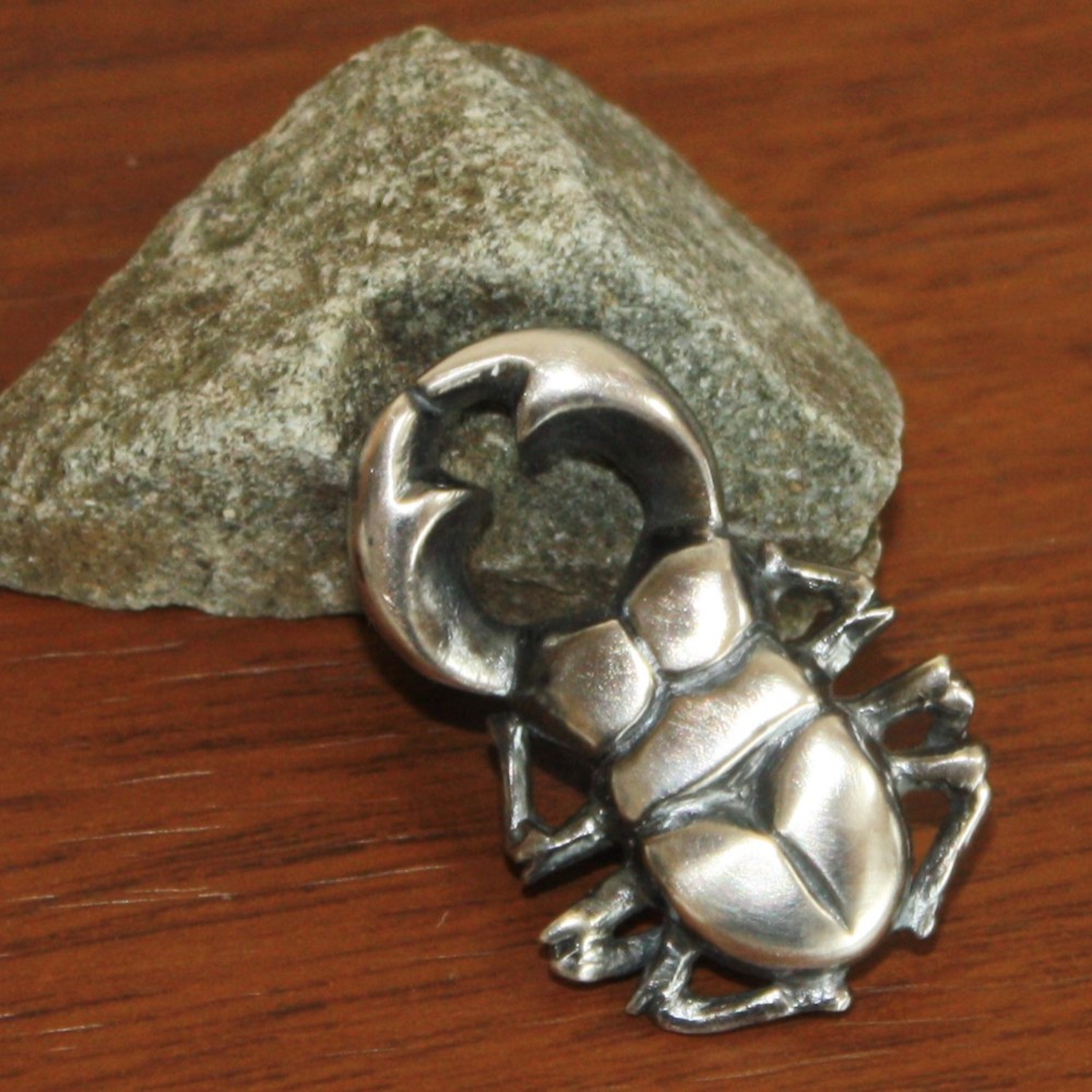 大人のための昆虫採集完成版シルバー製タイタック、ブローチ