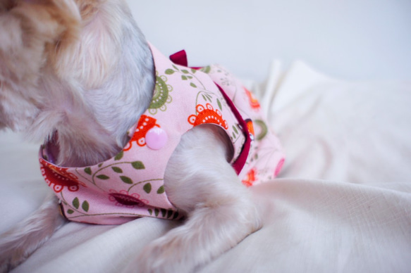 可訂製。可愛粉紅貓頭鷹洋裝 寵物衣 第4張的照片