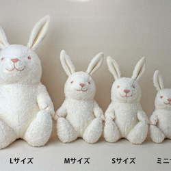 オーガニックコットンうさぎのぬいぐるみMサイズ 6枚目の画像