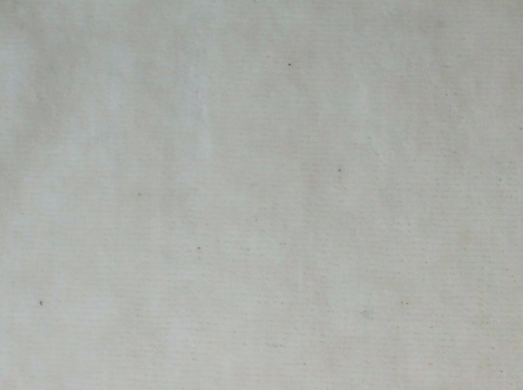 【手作りキット】オーガニックコットンうさぎのぬいぐるみMサイズ手作りキット 7枚目の画像
