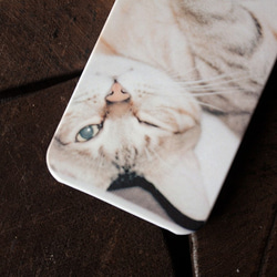 貓六 / cat six（2014） phone case 訂製 第3張的照片