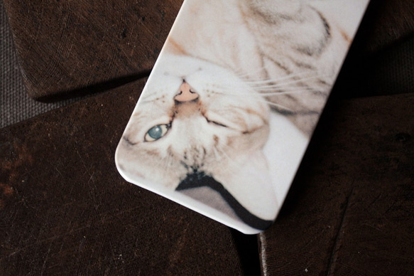 貓六 / cat six（2014） phone case 訂製 第3張的照片