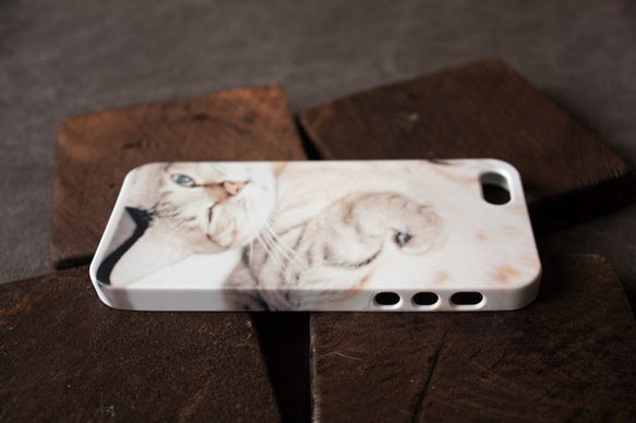 貓六 / cat six（2014） phone case 訂製 第5張的照片