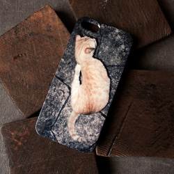 貓二 / cat two（2014）phone case 訂製 第2張的照片