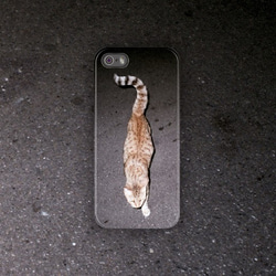 貓一 / cat one（2014）phone case 訂製 第1張的照片