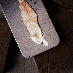 貓一 / cat one（2014）phone case 訂製 第3張的照片