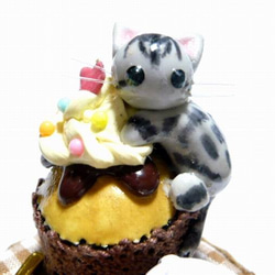 にゃんこのしっぽ〇にゃんこのスイーツデコボトル○カップケーキ○アメリカンショートヘア○猫 3枚目の画像