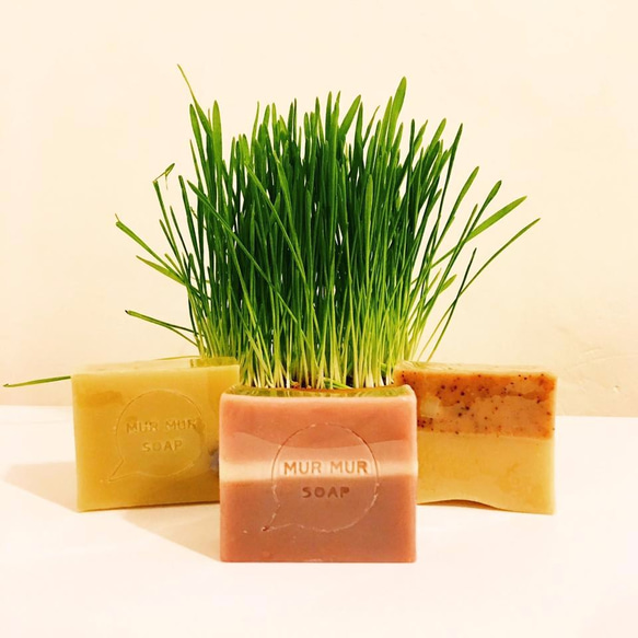 MURMUR Soap 純製皂  獨家明星商品 紫草紅酒抗齡皂 聖誕節優惠組 賣場任搭三顆 特價1000 第2張的照片