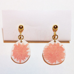 左右非対称なフラミンゴ 1枚目の画像