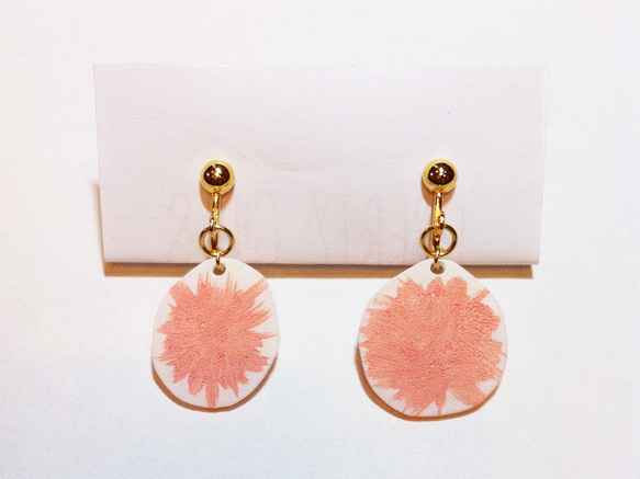 左右非対称なフラミンゴ 1枚目の画像