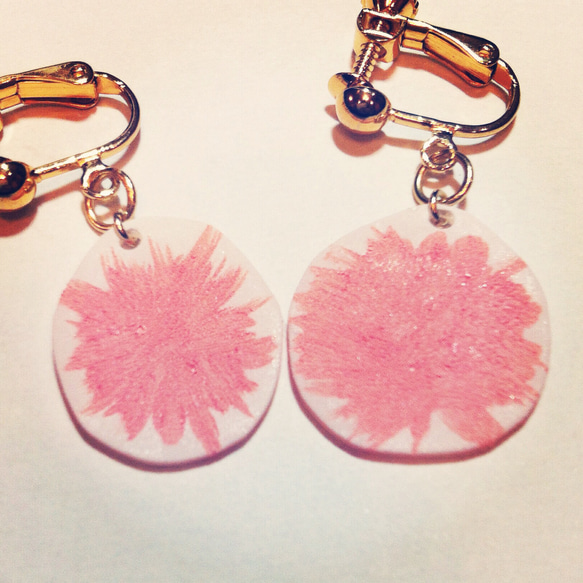 左右非対称なフラミンゴ 2枚目の画像