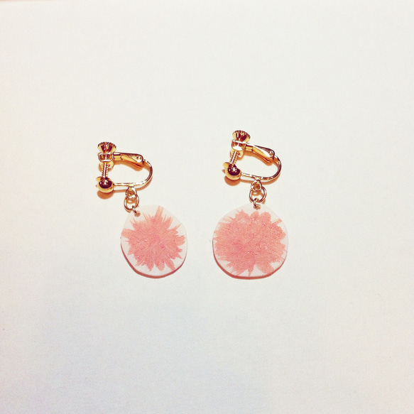 左右非対称なフラミンゴ 3枚目の画像