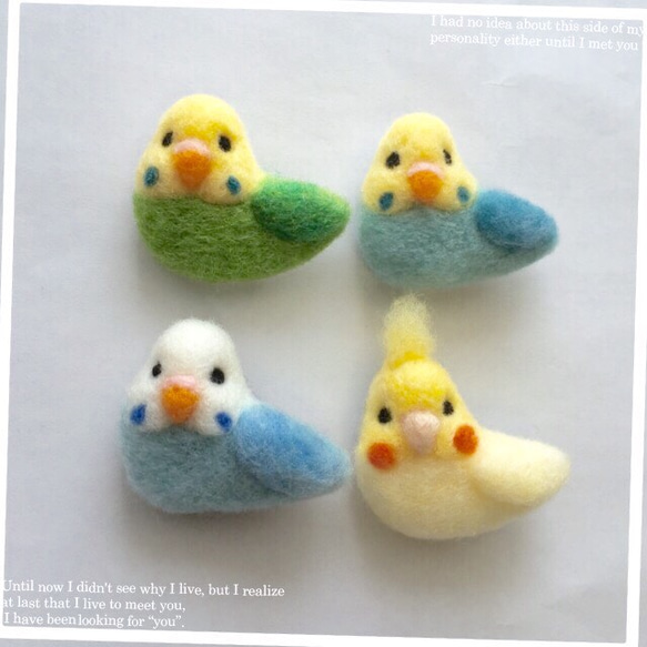 受注作成】羊毛フェルトインコブローチ♡セキセイインコ、オカメインコ