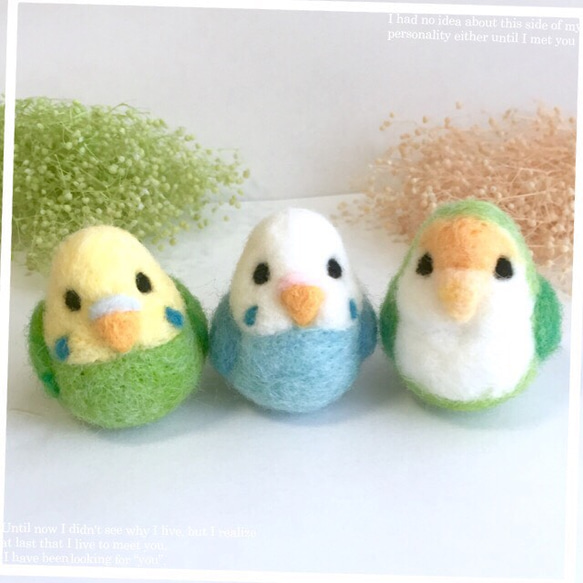 羊毛フェルト coco様のオーダー 羊毛フェルト♡セキセイインコ♪コザクラインコ♡ 羊毛フェルト MKMY