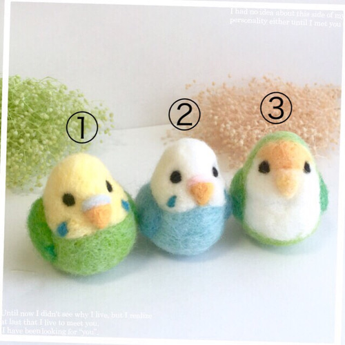 羊毛フェルト♡セキセイインコ♪コザクラインコ♡ 羊毛フェルト MKMY