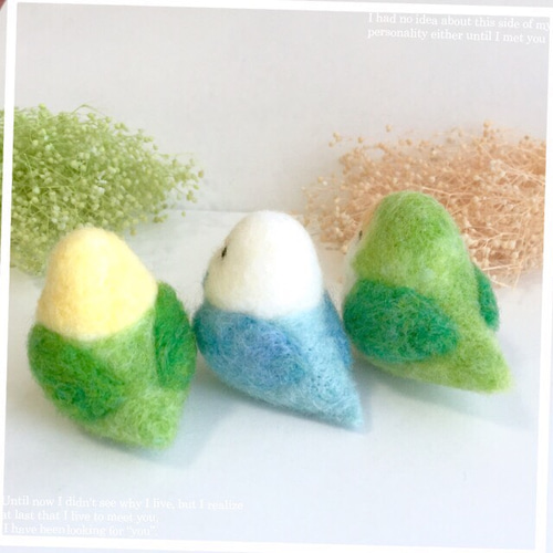 羊毛フェルト♡セキセイインコ♪コザクラインコ♡ 羊毛フェルト MKMY
