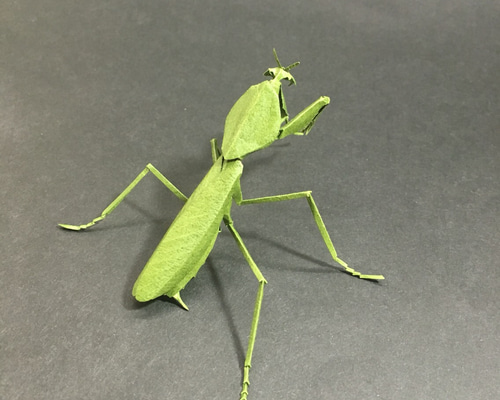 切り折り紙】マレーマルムネカマキリ その他アート ヤムシスワークス