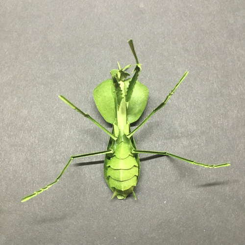 切り折り紙 ナンベイマルムネカマキリ その他アート ヤムシスワークス