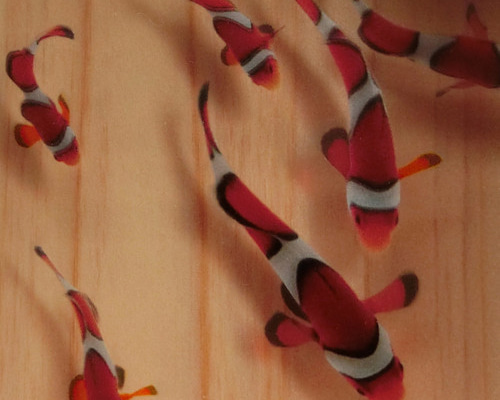 金魚 アート ニモ ドリー プレゼント 還暦 結婚 ギフト 青 ブルー 桧