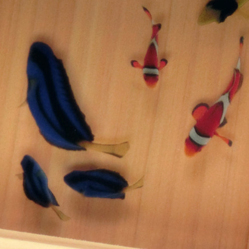 金魚 アート ニモ ドリー プレゼント 還暦 結婚 ギフト 青 ブルー 桧 金魚 アート ニモ ドリー プレゼント 還暦 結婚 ギフト 青 ブルー 桧