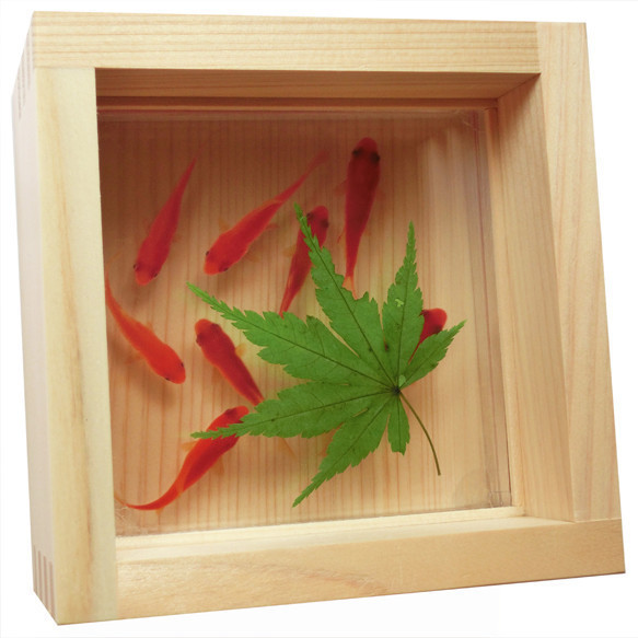 金魚アート 紅葉 もみじ プリザーブドフラワー 還暦 誕生日 結婚