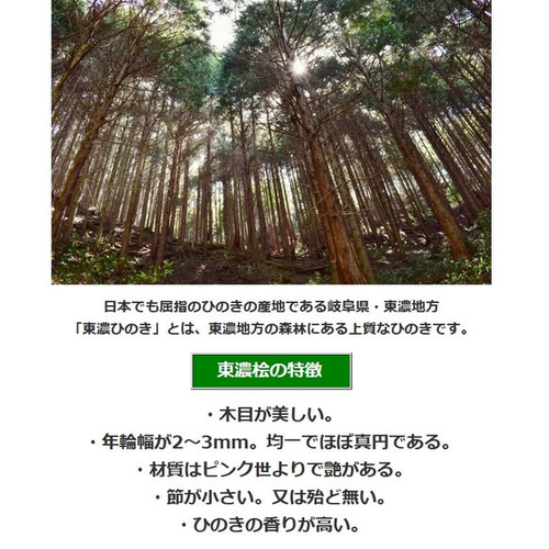 紅葉 赤 もみじ 金魚 アート 咲 秋 還暦 誕生日 結婚 退職 男性